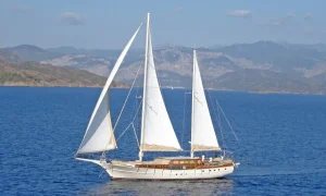 Пловец в бассейне, яхта в море